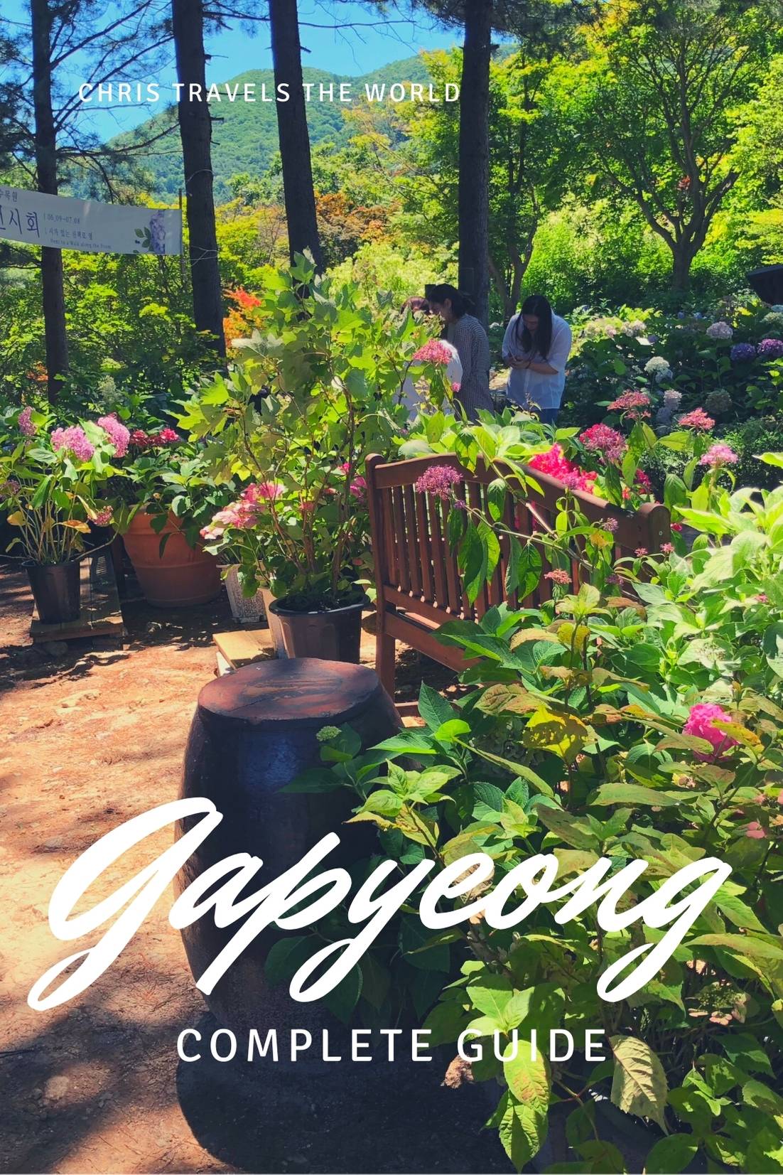 Complete Guide to Gapyeong
