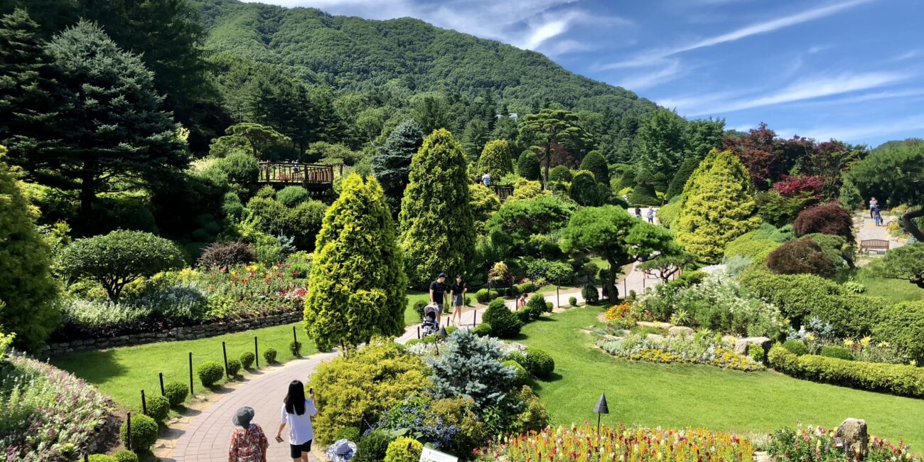 Garden of Morning Calm in Summer