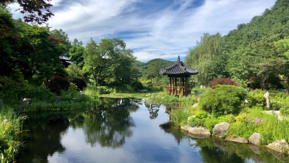 Garden of Morning Calm in Summer