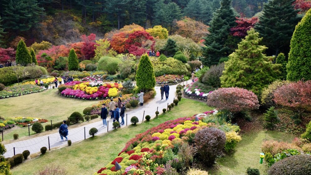 Garden of Morning Calm in Autumn