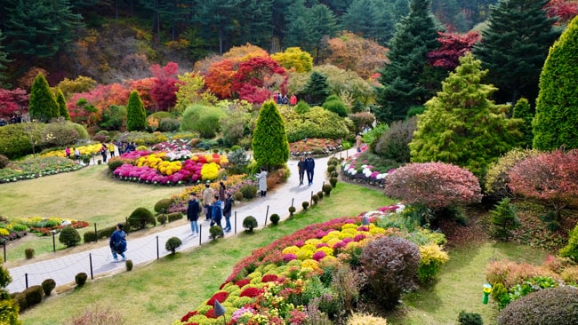 Garden of Morning Calm