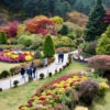 Garden of Morning Calm in Fall