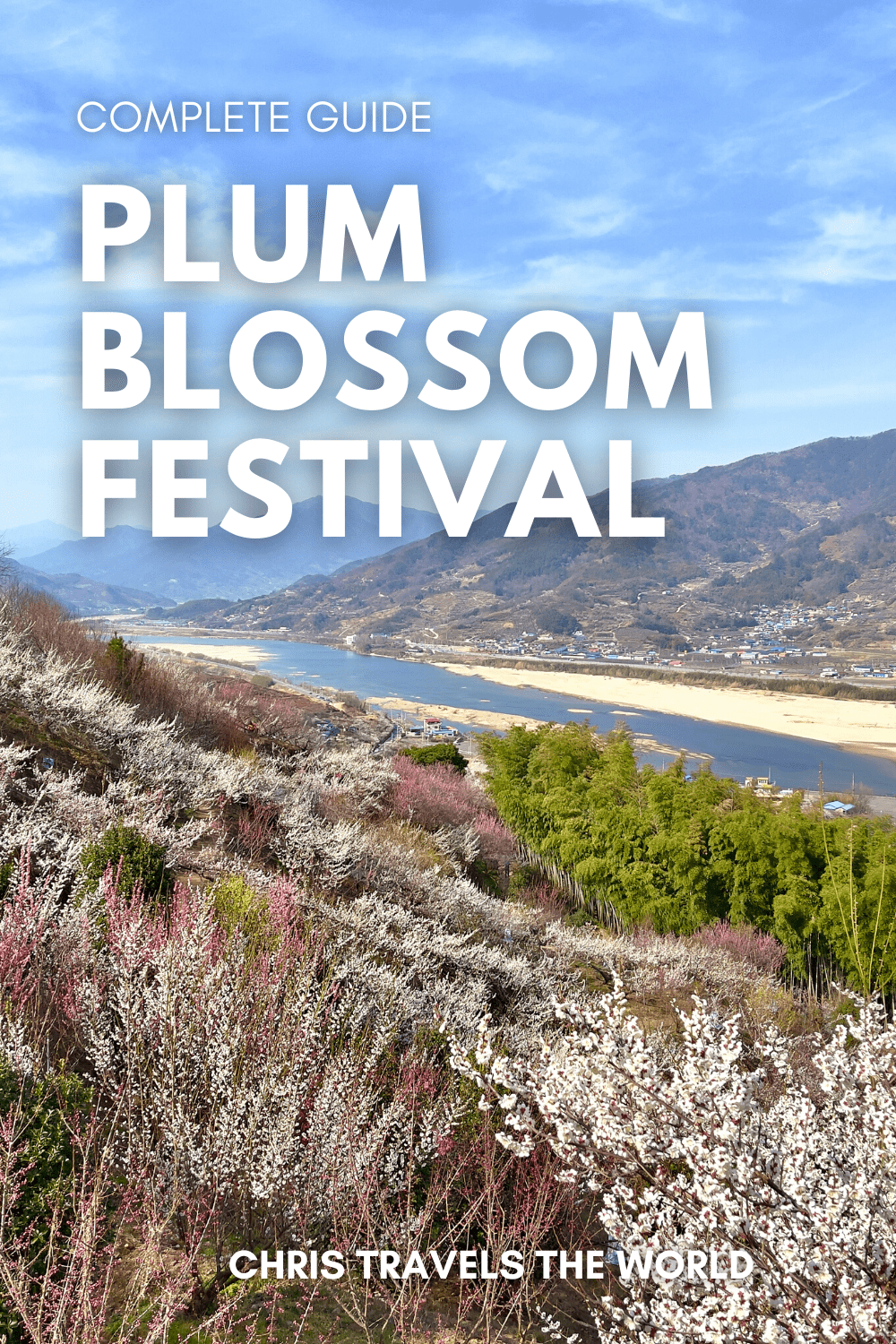 Complete Guide to Plum Blossom Festival in Gwangyang
