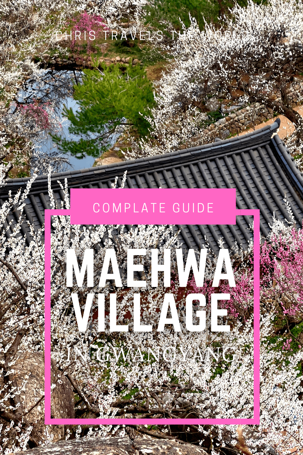 Complete Guide to Maehwa VIllage in Gwangyang - blum blossom